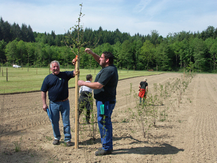 Bild zu Aktionen, AnlÃ¤sse