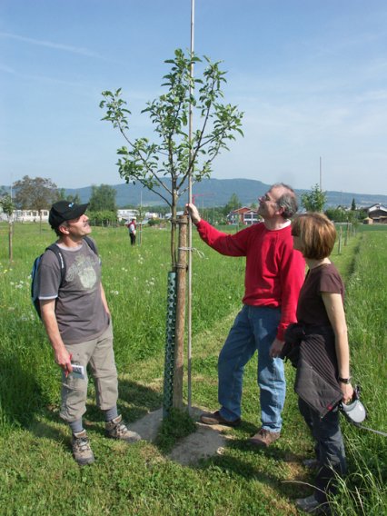 Bild zu Aktionen, AnlÃ¤sse