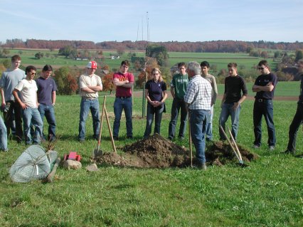 Bild zu Hochstamm-ObstbÃ¤ume - Neupflanzung