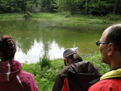 Bild zu Aktionen, AnlÃ¤sse