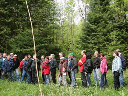 Bild zu Aktionen, AnlÃ¤sse