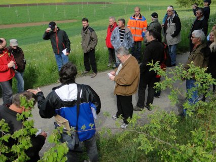 Bild zu Aktionen, AnlÃ¤sse