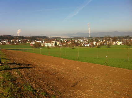 Bild zu Hecke - Neupflanzung