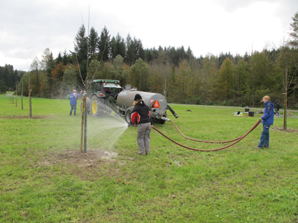 Bild zu Hochstamm-ObstbÃ¤ume - Neupflanzung