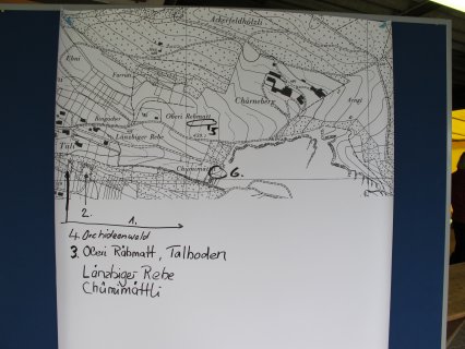 Bild zu Aktionen, AnlÃ¤sse