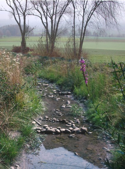 Bild zu FliessgewÃ¤sser â Pflege, Aufwertung