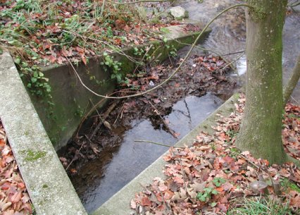 Bild zu FliessgewÃ¤sser â Pflege, Aufwertung