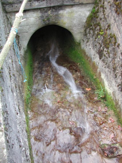 Bild zu FliessgewÃ¤sser â Pflege, Aufwertung