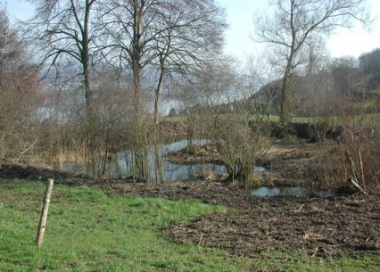 Bild zu Weiher, TÃ¼mpel â Pflege, Aufwertung