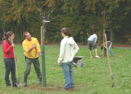 Bild zu Hochstamm-ObstbÃ¤ume - Neupflanzung