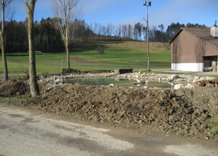Bild zu Weiher, TÃ¼mpel â Neuanlage