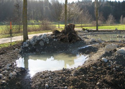 Bild zu Weiher, TÃ¼mpel â Neuanlage