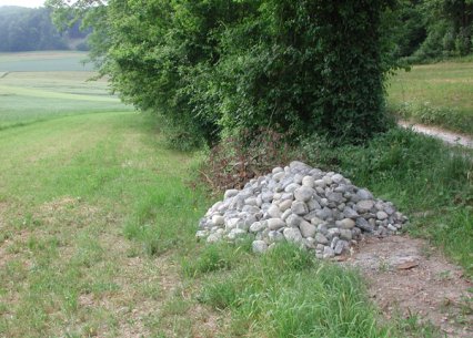 Bild zu Kleinstruktur â Neuanlage