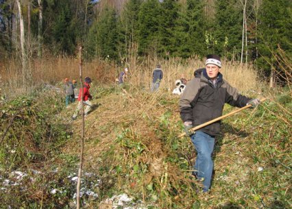 Bild zu Weiher, TÃ¼mpel â Pflege, Aufwertung