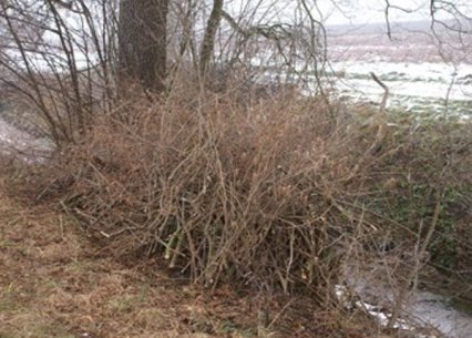 Bild zu Kleinstruktur â Neuanlage