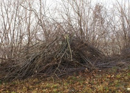 Bild zu Kleinstruktur â Neuanlage