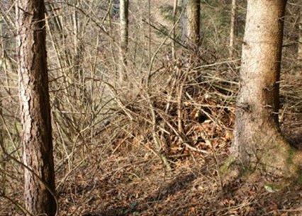 Bild zu Kleinstruktur â Neuanlage