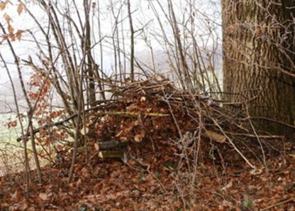 Bild zu Kleinstruktur â Neuanlage