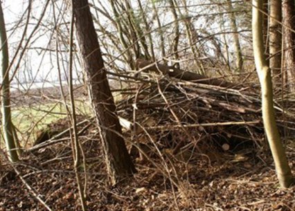 Bild zu Kleinstruktur â Neuanlage