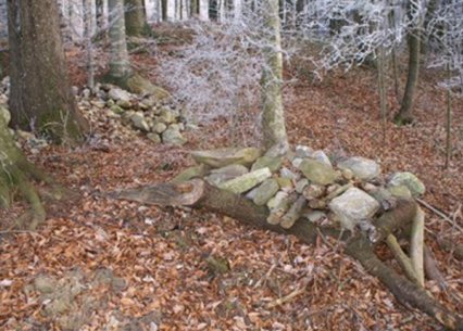 Bild zu Kleinstruktur â Neuanlage