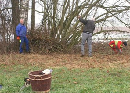 Bild zu Kleinstruktur â Neuanlage