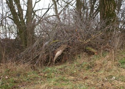 Bild zu Kleinstruktur â Neuanlage