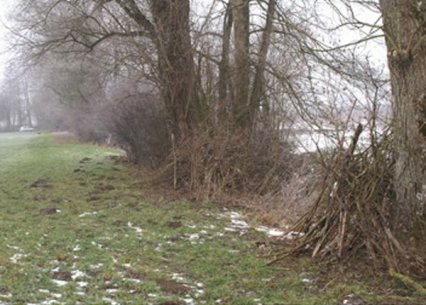 Bild zu Kleinstruktur â Neuanlage