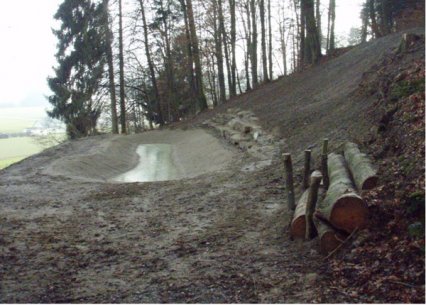 Bild zu Weiher, TÃ¼mpel â Neuanlage