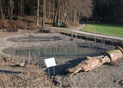 Bild zu Weiher, TÃ¼mpel â Neuanlage