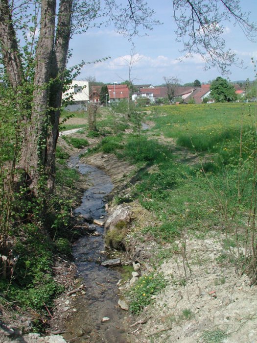 Bild zu FliessgewÃ¤sser â Pflege, Aufwertung