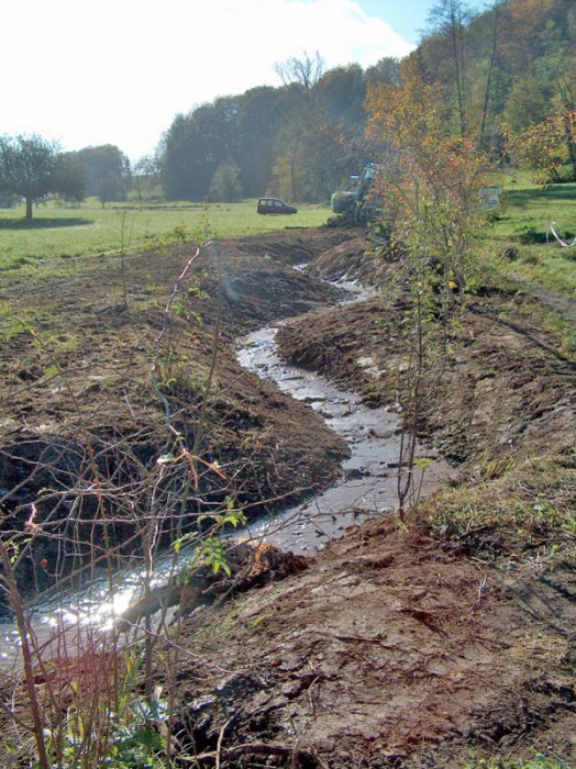 Bild zu FliessgewÃ¤sser â Pflege, Aufwertung