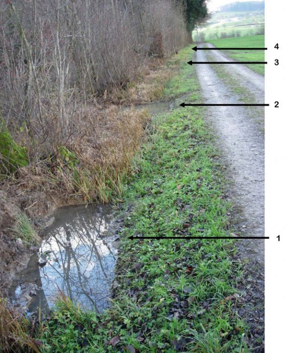 Bild zu Weiher, TÃ¼mpel â Neuanlage