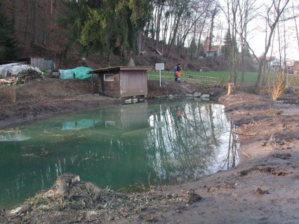 Bild zu Weiher, TÃ¼mpel â Pflege, Aufwertung