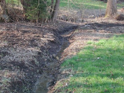 Bild zu Weiher, TÃ¼mpel â Pflege, Aufwertung