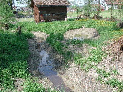 Bild zu Weiher, TÃ¼mpel â Pflege, Aufwertung