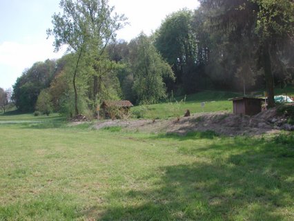 Bild zu Weiher, TÃ¼mpel â Pflege, Aufwertung