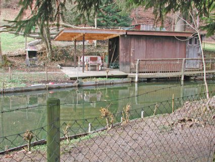 Bild zu Weiher, TÃ¼mpel â Pflege, Aufwertung