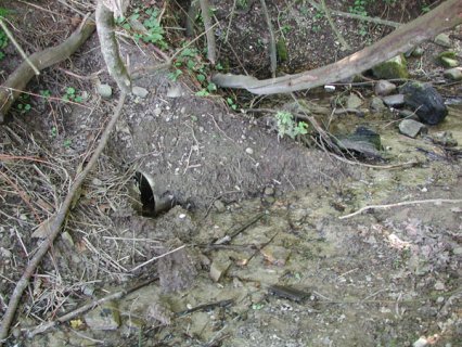 Bild zu Weiher, TÃ¼mpel â Pflege, Aufwertung
