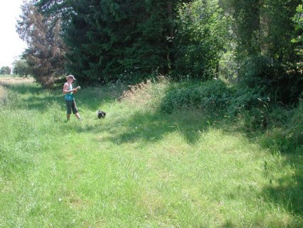 Bild zu Weiher, TÃ¼mpel â Pflege, Aufwertung