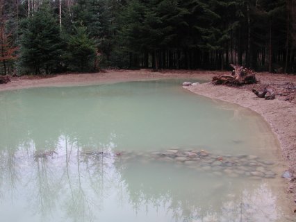 Bild zu Weiher, TÃ¼mpel â Neuanlage