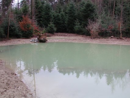 Bild zu Weiher, TÃ¼mpel â Neuanlage