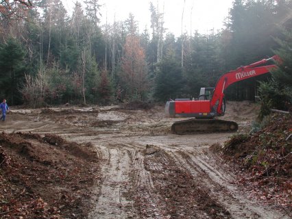 Bild zu Weiher, TÃ¼mpel â Neuanlage