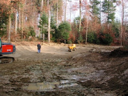 Bild zu Weiher, TÃ¼mpel â Neuanlage