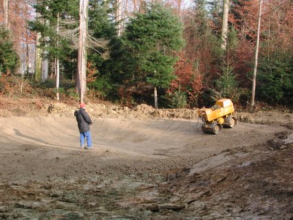 Bild zu Weiher, TÃ¼mpel â Neuanlage