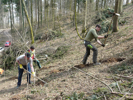 Bild zu Wald - Aufwertung