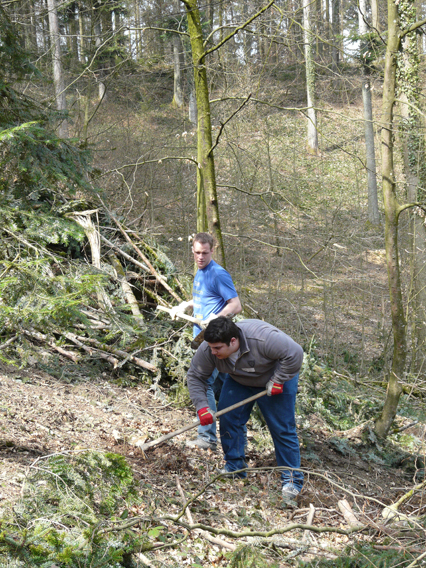 Bild zu Wald - Aufwertung
